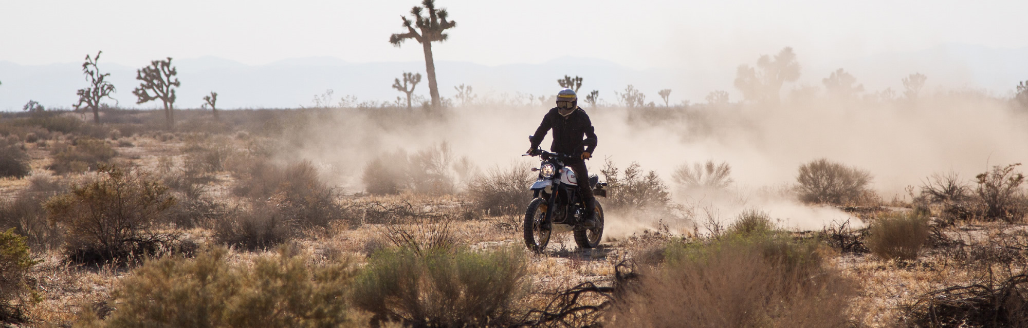 SCRAMBLER: libertà allo stato puro!